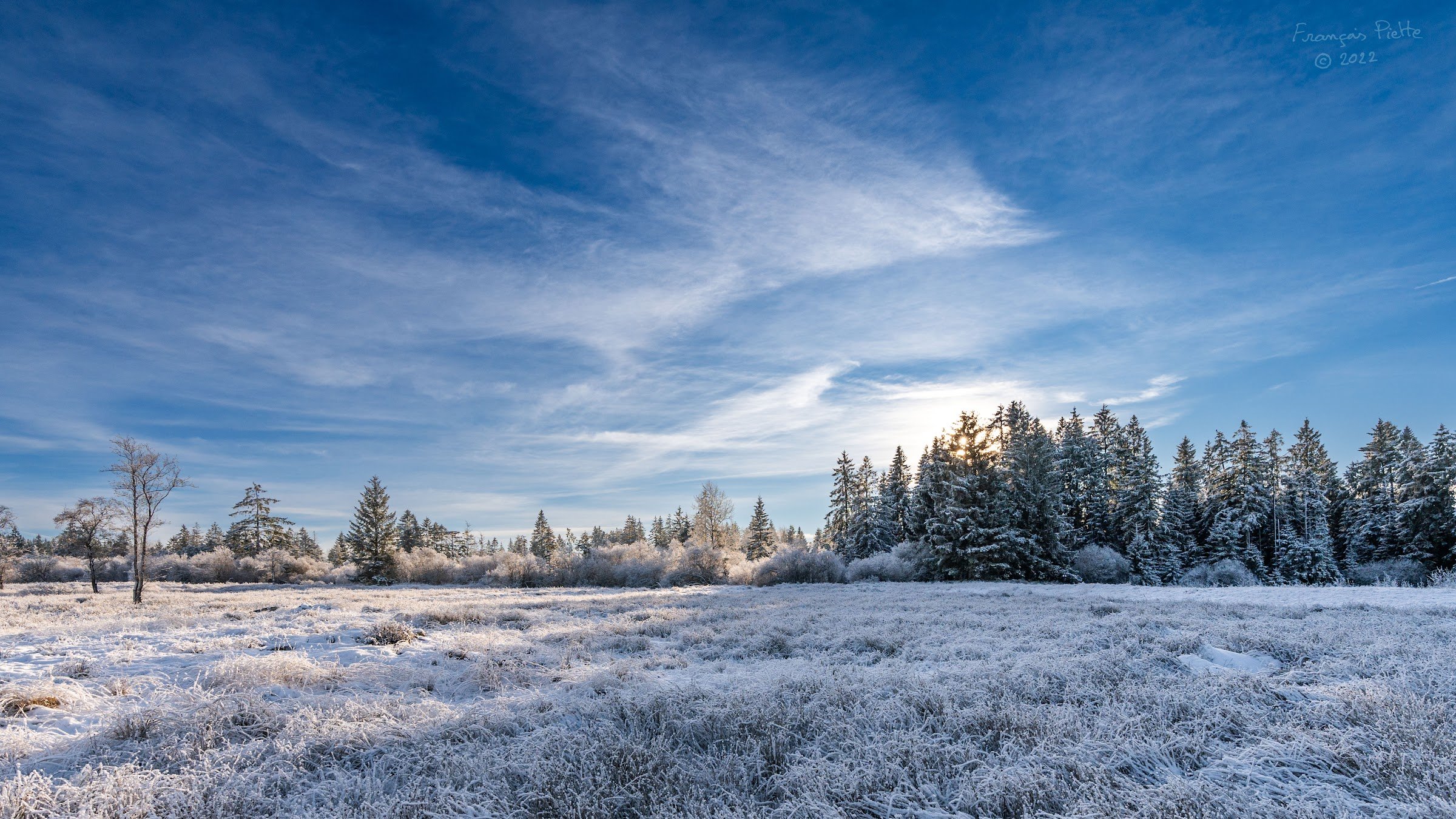 High Fens - Signal de Botrange (High Fens–Eifel Nature Park)